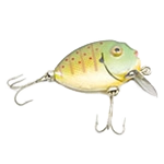 Jakt og fiske