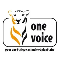 One voice